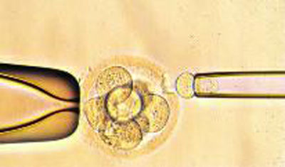 Dr. Zhang